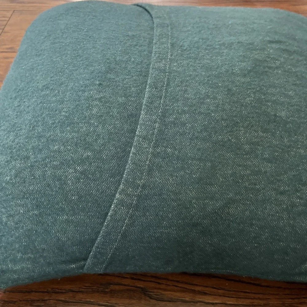 David Fussenegger Ski You Soon green down pillow, New, 18